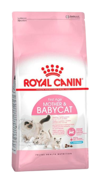 ROYAL CANIN / Starter / Gatos / 2 kg